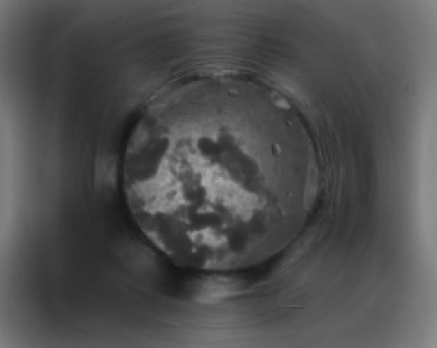 X0000088200315200705221728