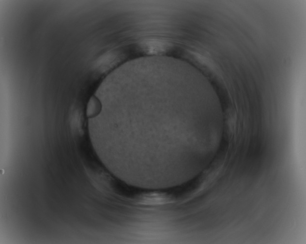 X0000088200316200705221728
