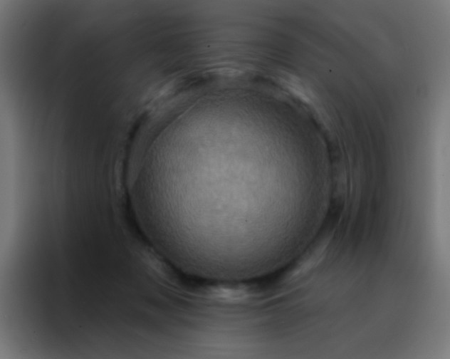 X0000088200317200705221728