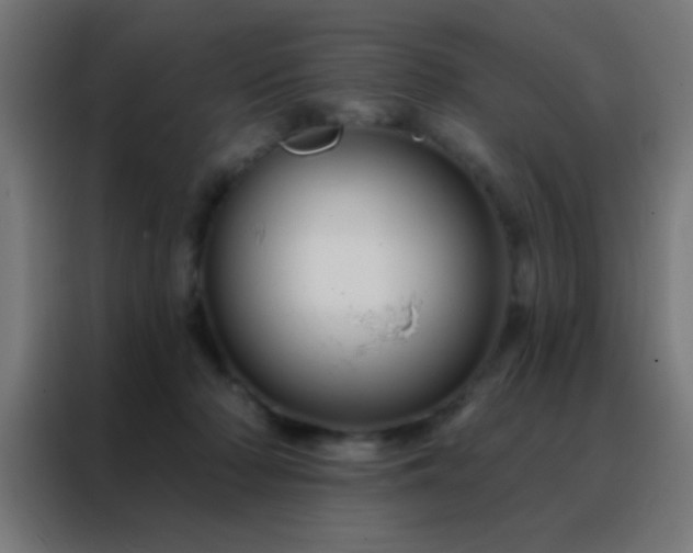 X0000088200318200705221728
