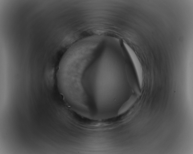 X0000088200319200705221728