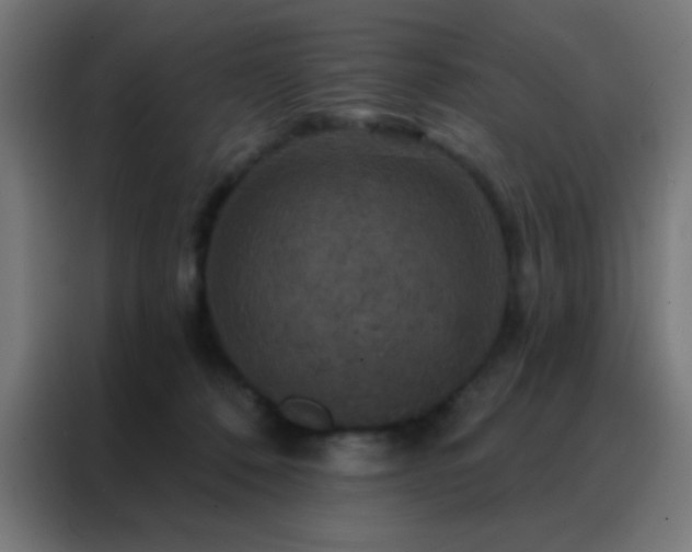 X0000088200320200705221728