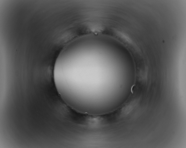 X0000088200321200705221728