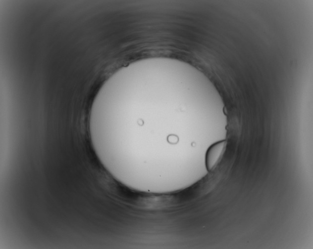 X0000088200323200705221728
