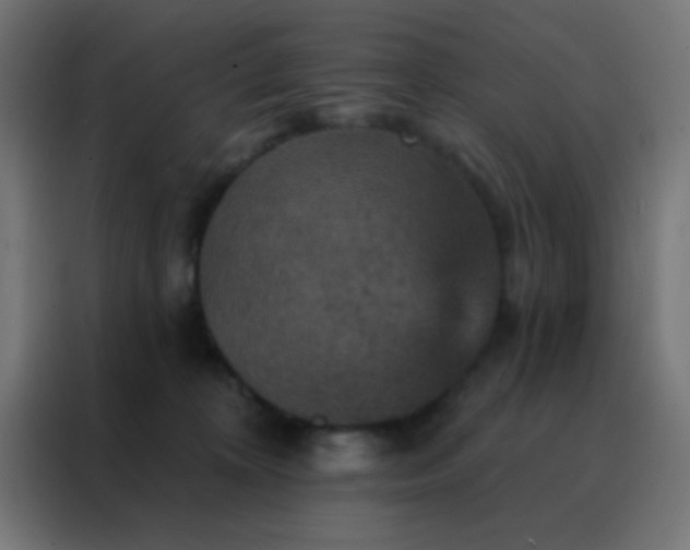 X0000088200324200705221728