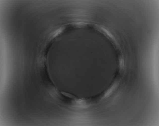 X0000088200325200705221728