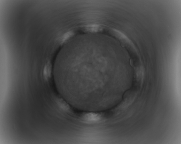 X0000088200326200705221728