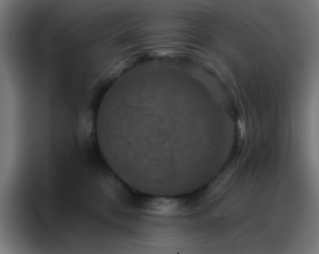X0000088200328200705221728