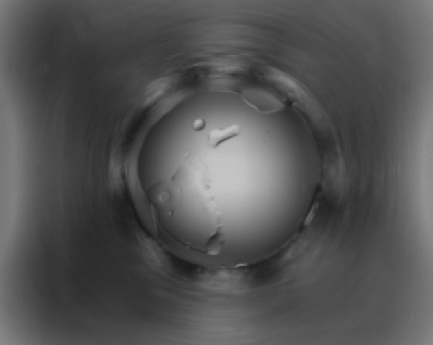 X0000088200329200705221728