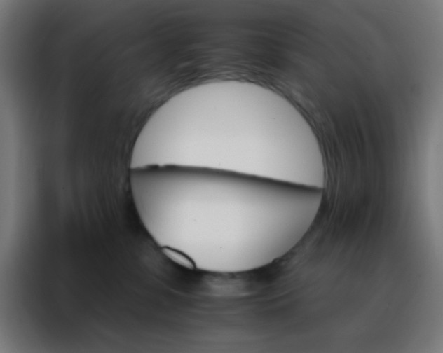 X0000088200331200705221728