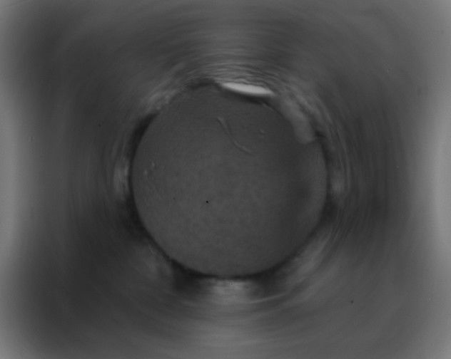 X0000088200332200705221728
