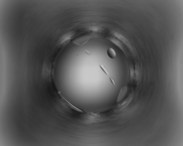 X0000088200333200705221728