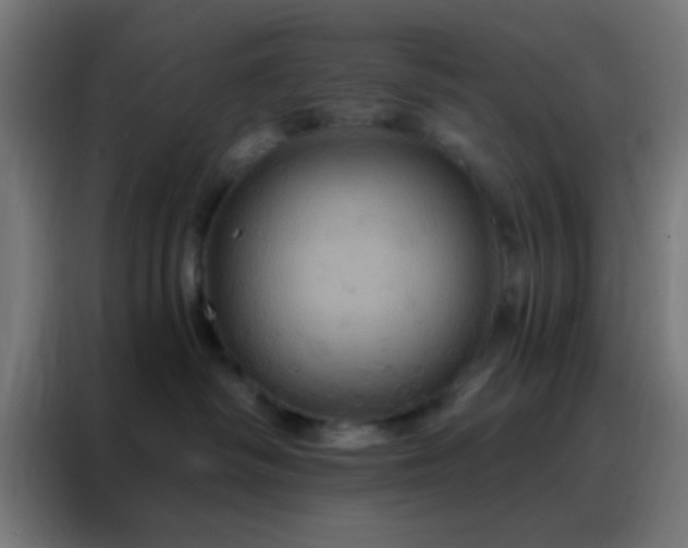X0000088200334200705221728