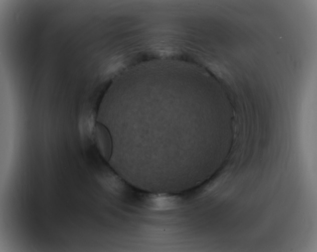 X0000088200336200705221728