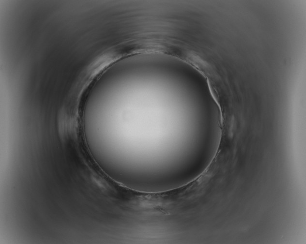 X0000088200338200705221727