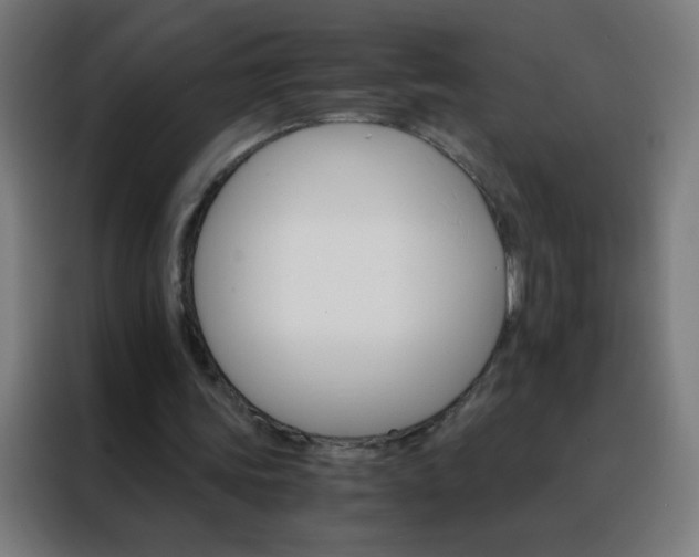 X0000088200339200705221727