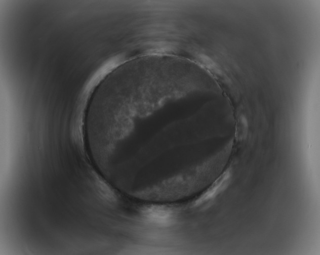 X0000088200341200705221727