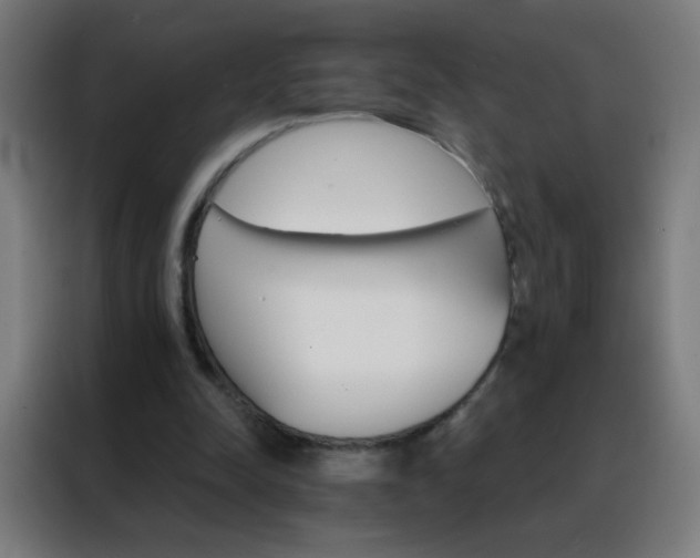 X0000088200342200705221727