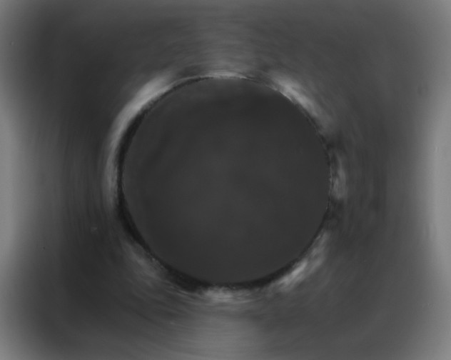 X0000088200343200705221727
