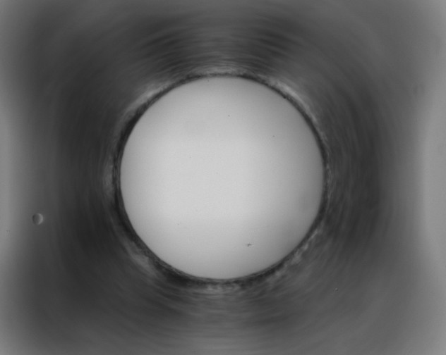 X0000088200345200705221727