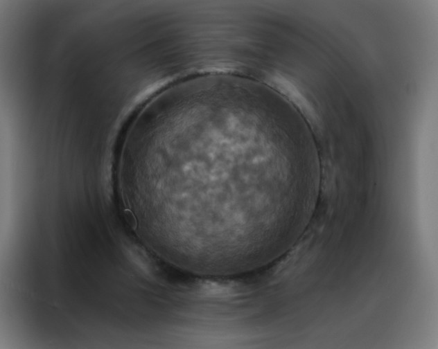 X0000088200346200705221727