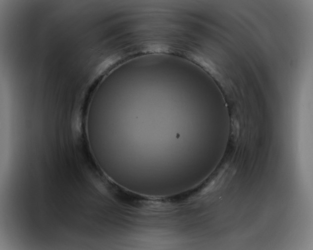 X0000088200347200705221727
