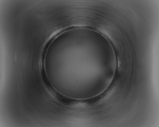 X0000088200348200705221727