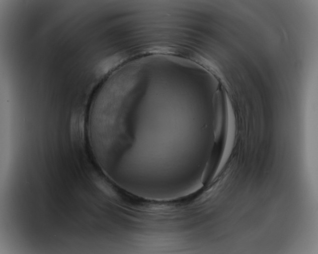 X0000088200349200705221727