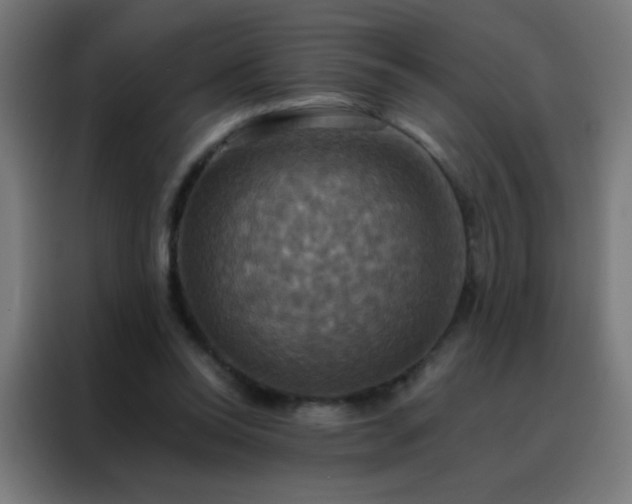 X0000088200350200705221727