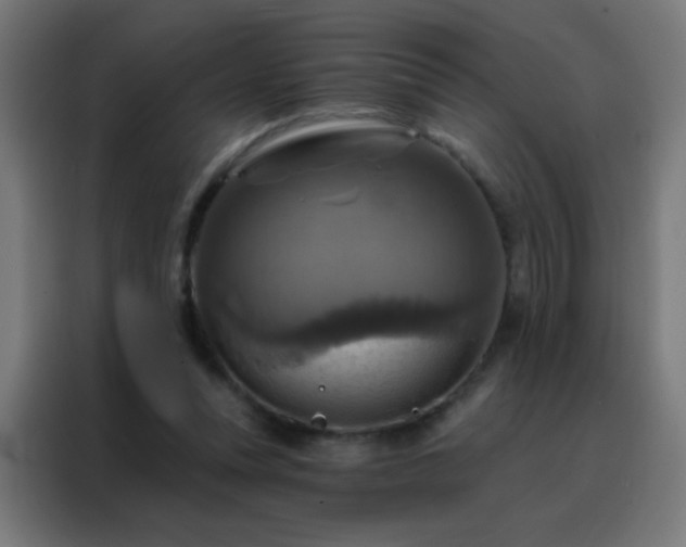 X0000088200351200705221727