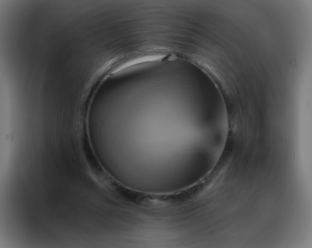 X0000088200352200705221727
