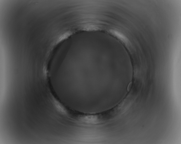 X0000088200353200705221727