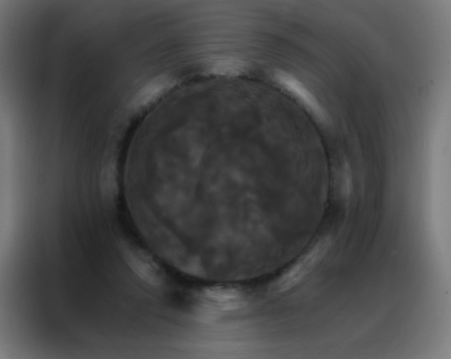 X0000088200354200705221727