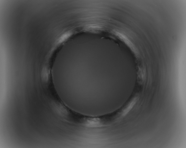 X0000088200355200705221727