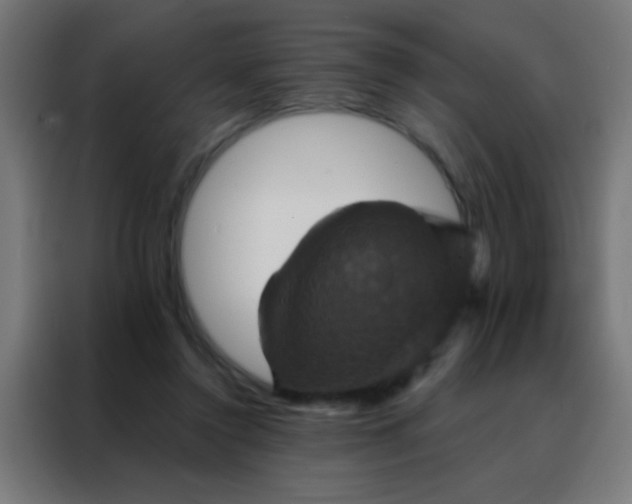 X0000088200356200705221727
