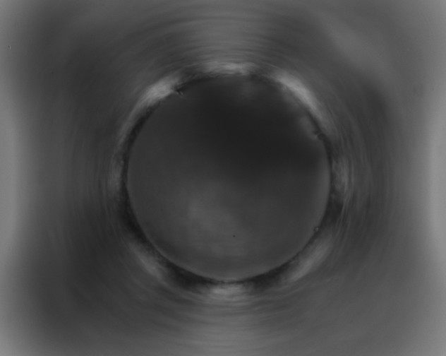 X0000088200357200705221727