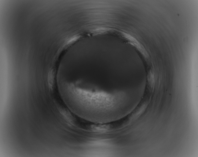X0000088200359200705221727