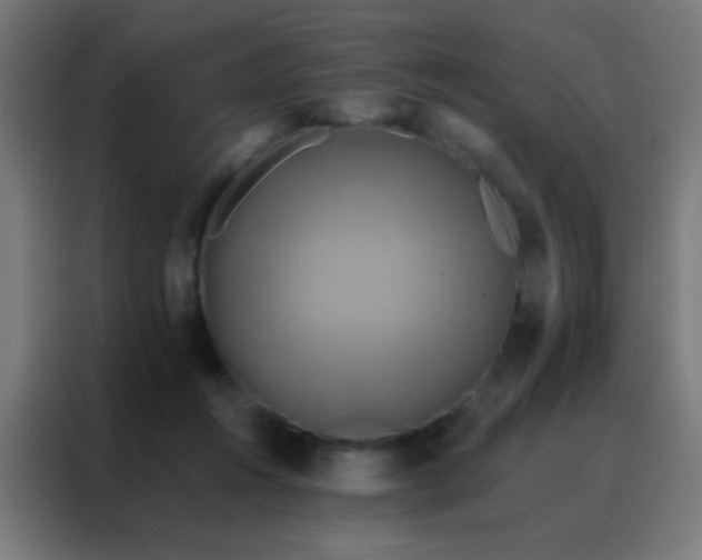 X0000088200360200705221727