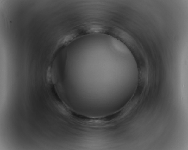 X0000088200361200705221727