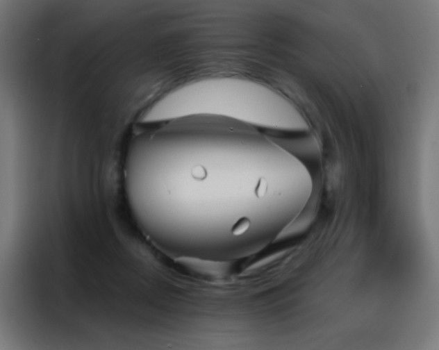X0000088200362200705221727