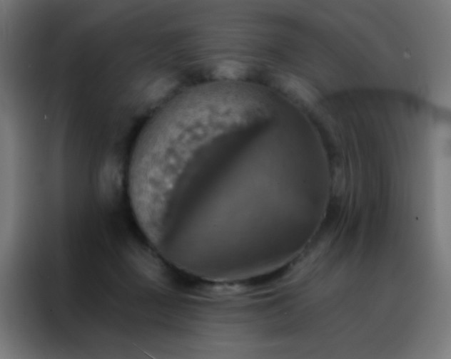 X0000088200363200705221727