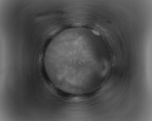 X0000088200364200705221727