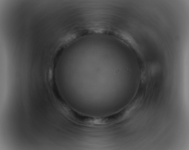 X0000088200365200705221727