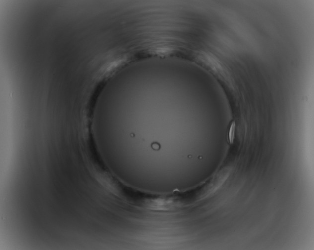 X0000088200366200705221727