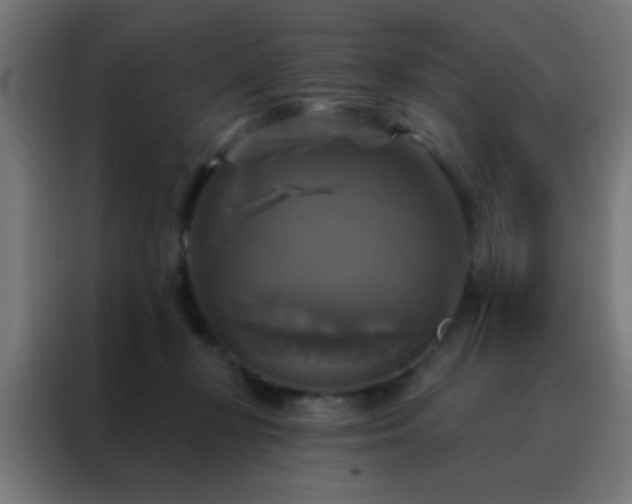X0000088200367200705221727