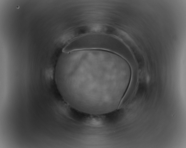 X0000088200368200705221727
