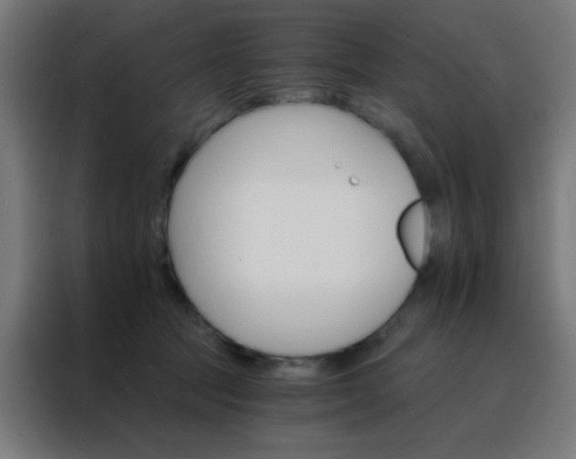 X0000088200369200705221727