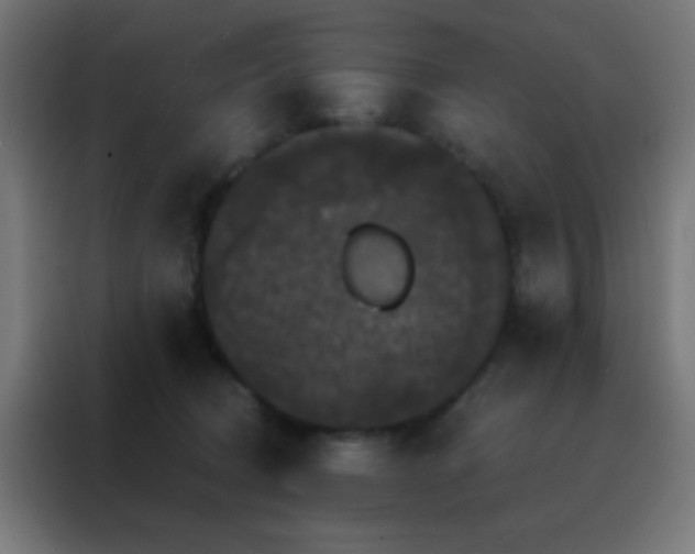 X0000088200370200705221727