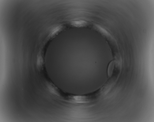 X0000088200371200705221727
