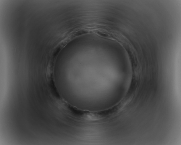 X0000088200372200705221727